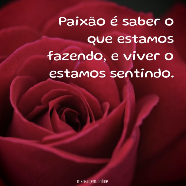 Paixão é saber o que estamos fazendo