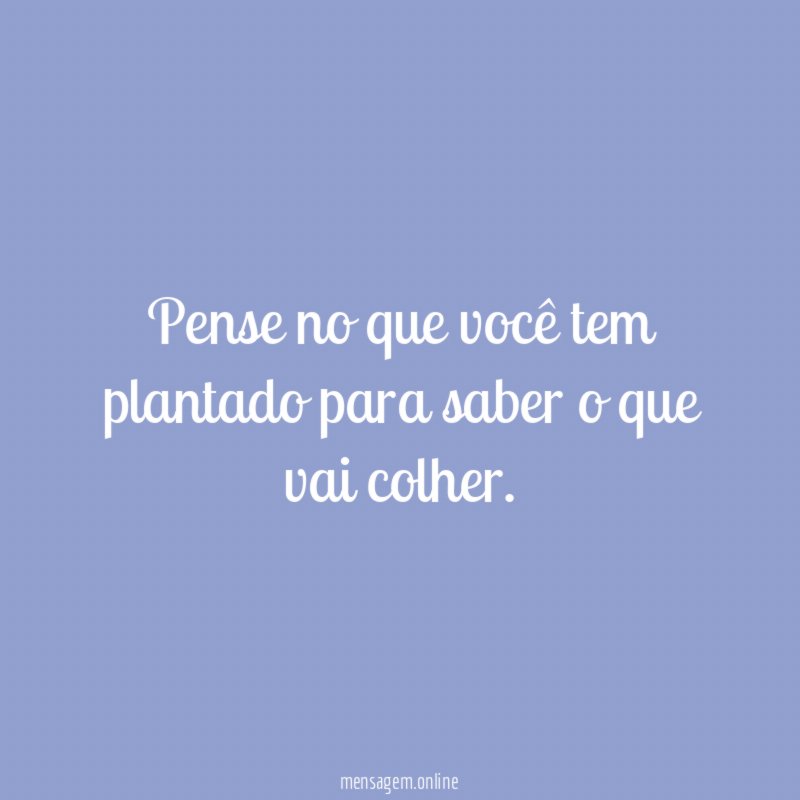Pense no que você tem plantado para saber o que vai colher