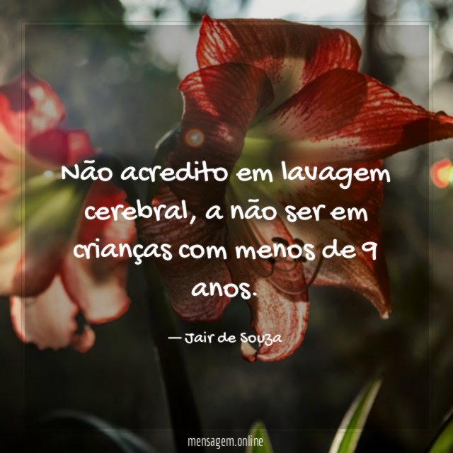 Não acredito em lavagem cerebral