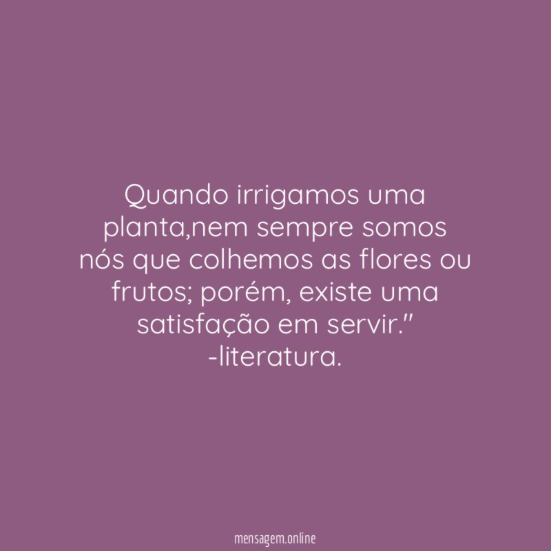 Quando irrigamos uma planta