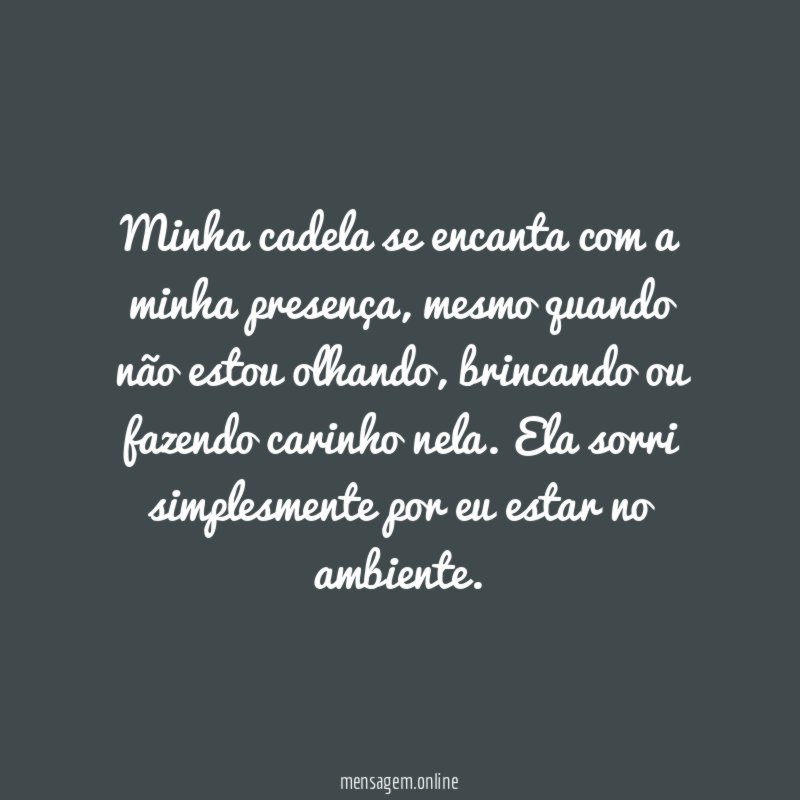 Minha cadela se encanta com a minha presença