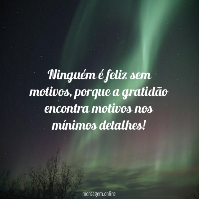 Ninguém é feliz sem motivos