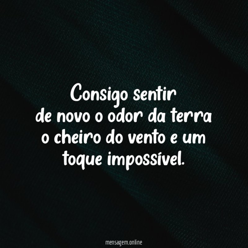 Consigo sentir de novo o odor da terra o cheiro