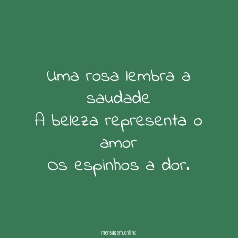 Uma rosa lembra a saudade A beleza representa