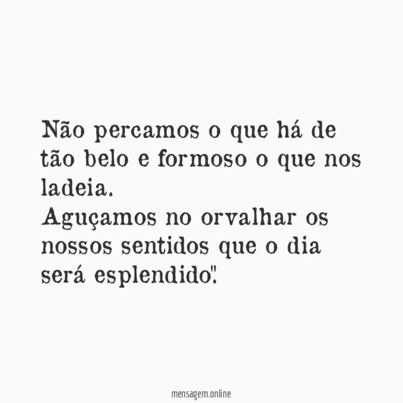 Não percamos o que há de tão belo