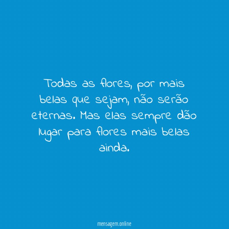 Todas as flores
