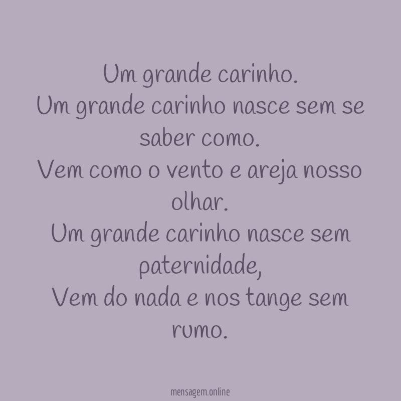Um grande carinho.