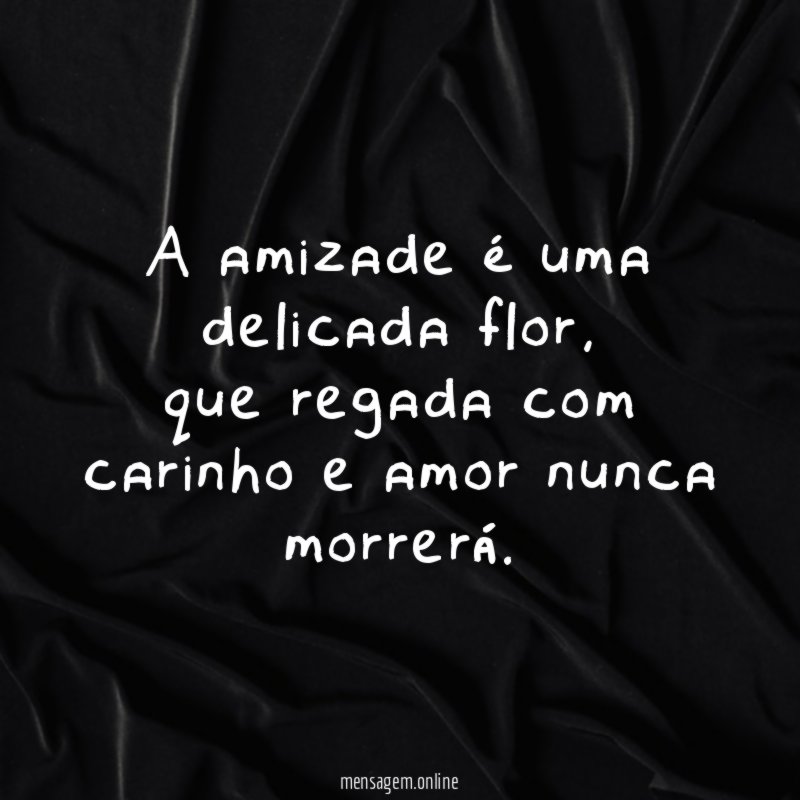 a amizade é uma delicada flor