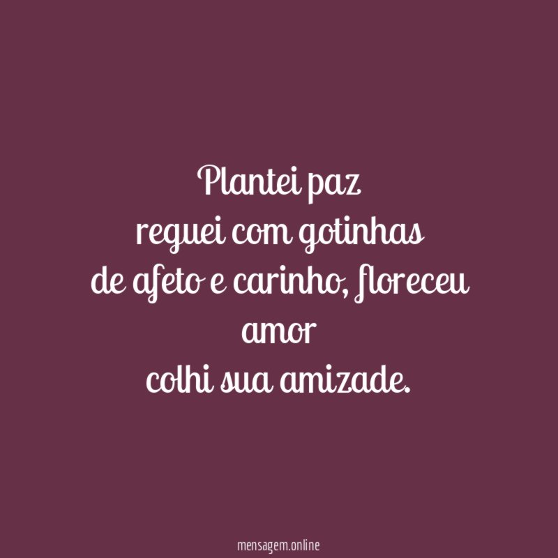 Plantei paz reguei com gotinhas de afeto e carinho