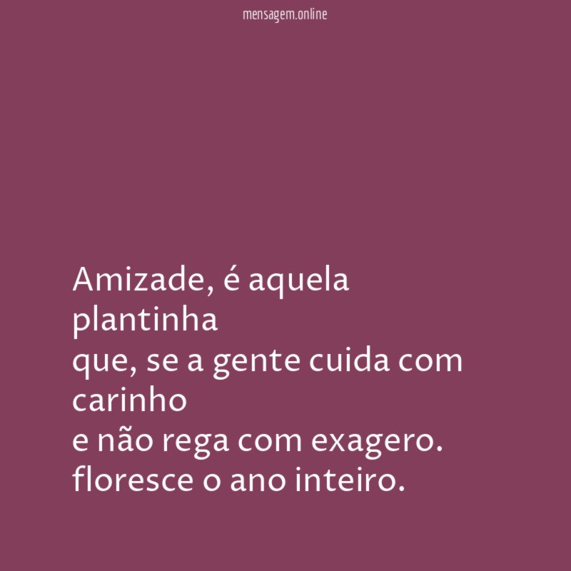 Amizade