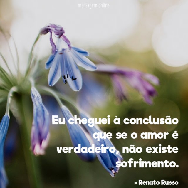 Eu cheguei à conclusão que se o amor é verdadeiro