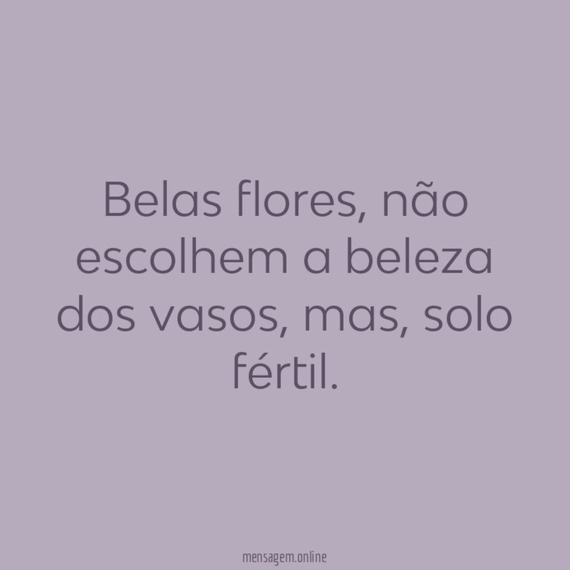Belas flores