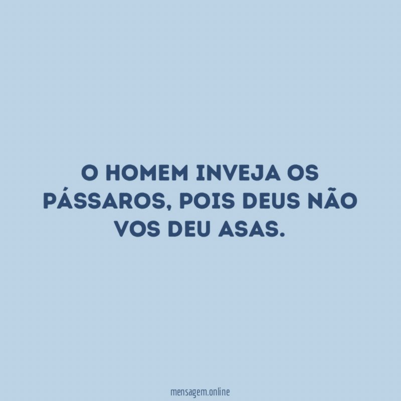 O homem inveja os pássaros
