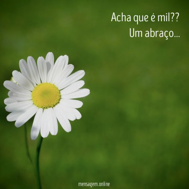 Acha que é mil