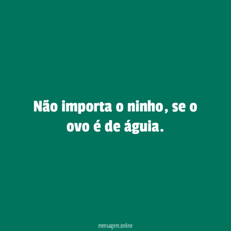 Não importa o ninho