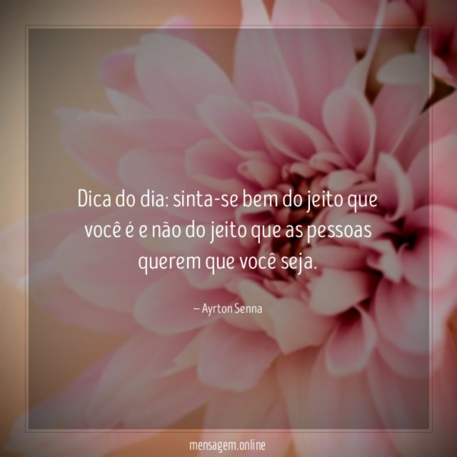 Dica do dia