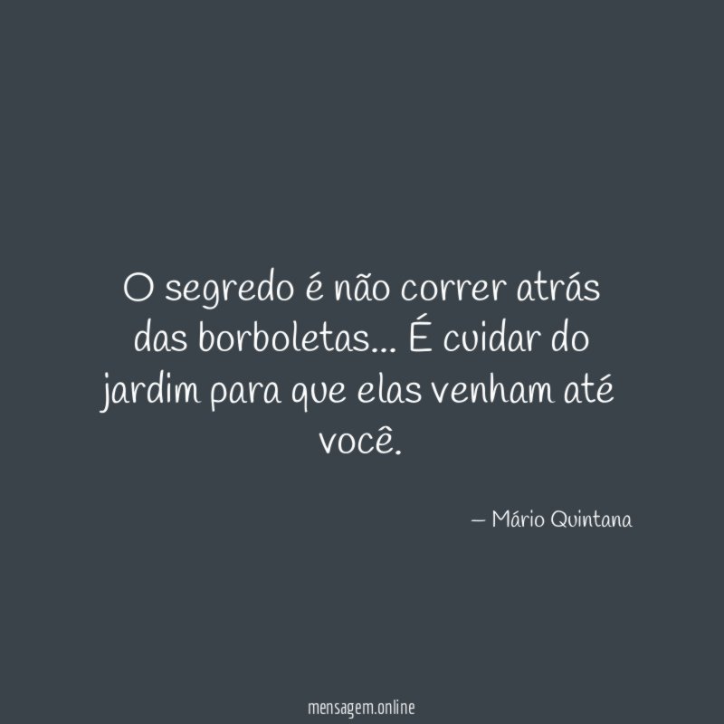 O segredo é não correr atrás das borboletas