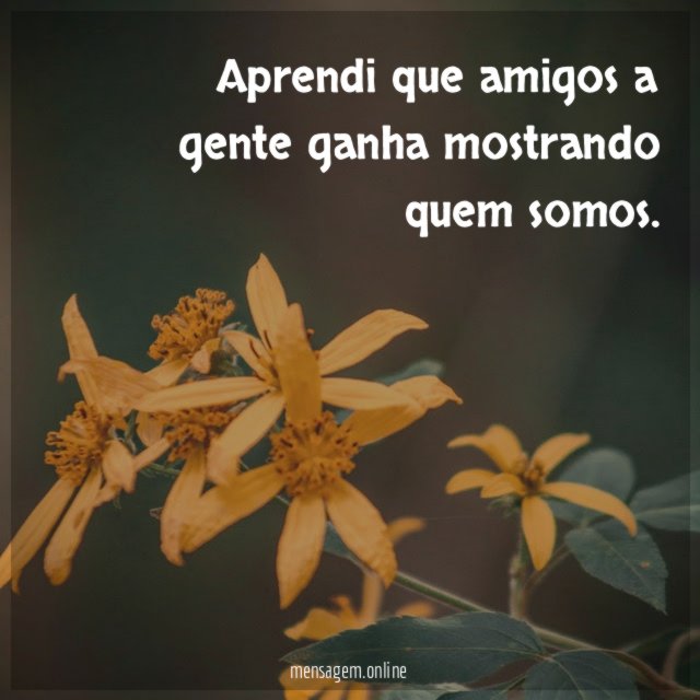 Aprendi que amigos a gente ganha mostrando quem somos