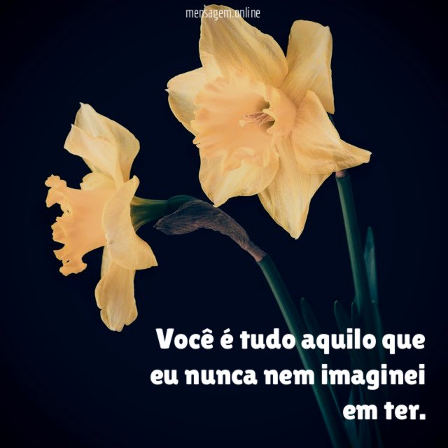 Você é tudo aquilo que eu nunca nem imaginei em ter