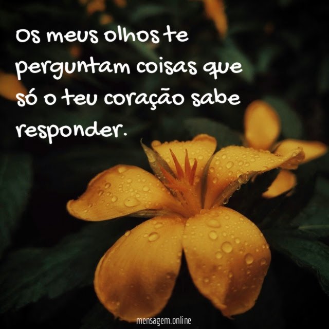 Os meus olhos te perguntam coisas que só