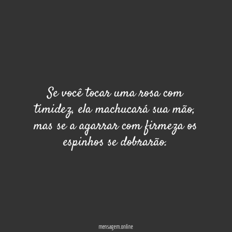 Se você tocar uma rosa com timidez