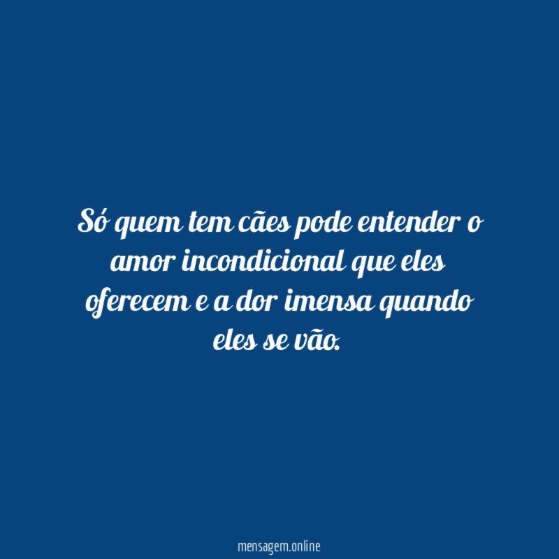 Só quem tem cães pode entender o amor