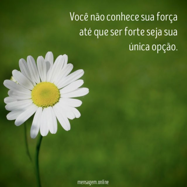Você não conhece sua força até que ser