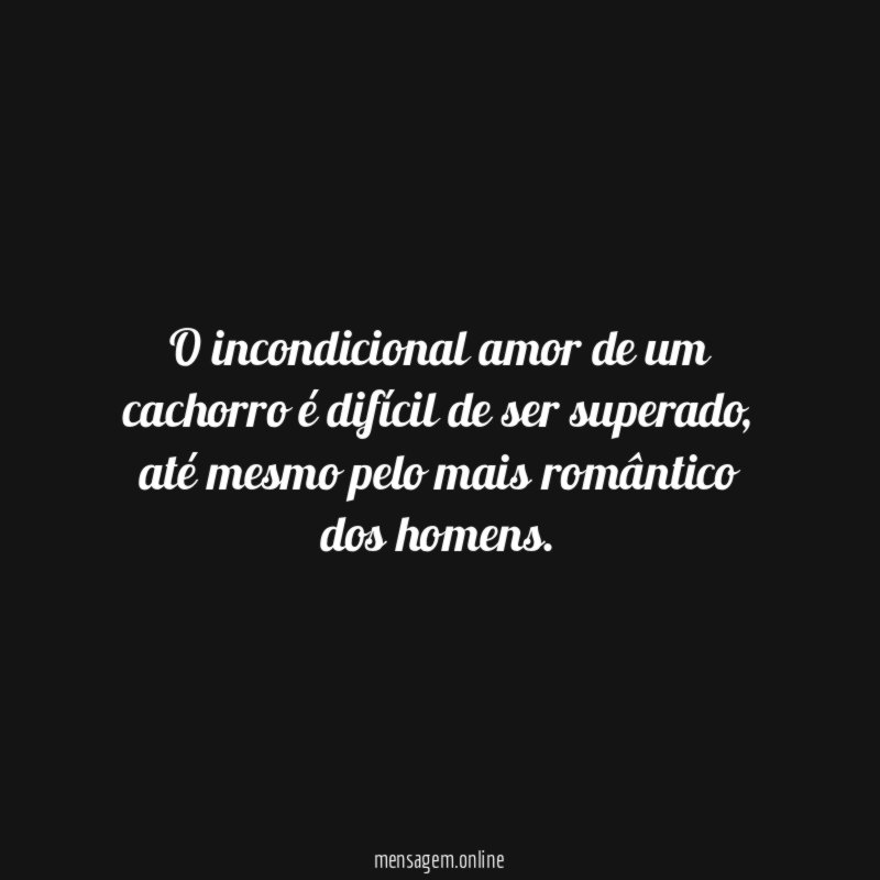 O incondicional amor de um cachorro é difícil de ser superado