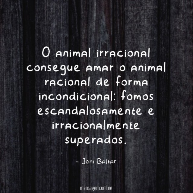O animal irracional consegue amar o animal racional de forma incondicional