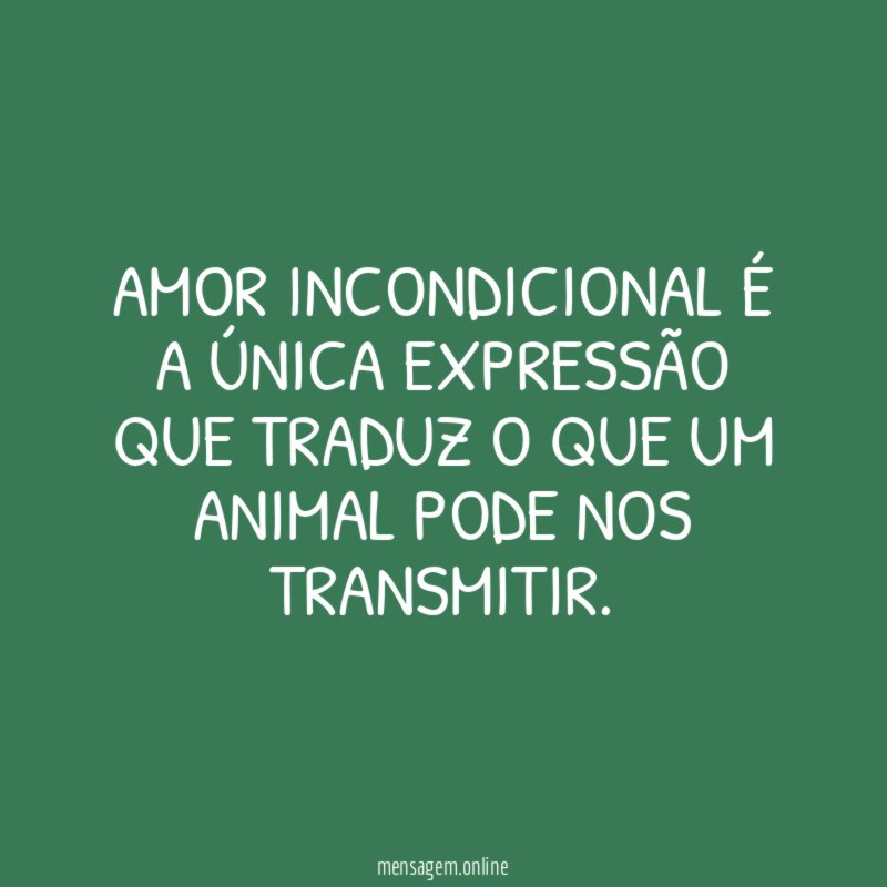 Amor incondicional é a única expressão que traduz
