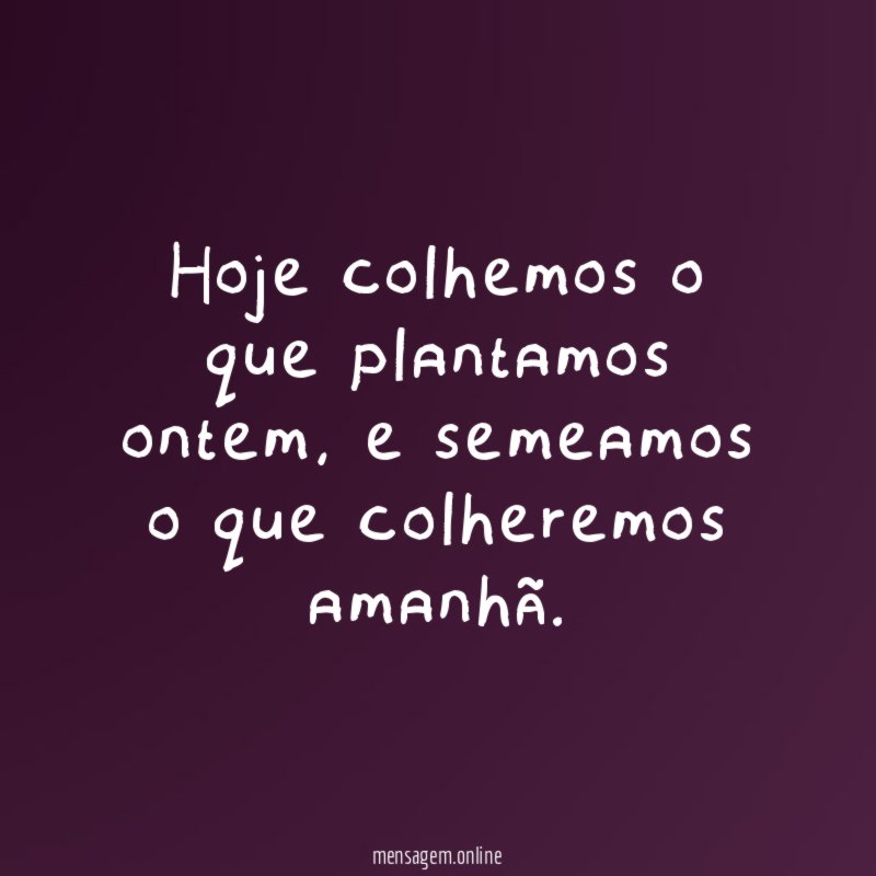 Hoje colhemos o que plantamos ontem
