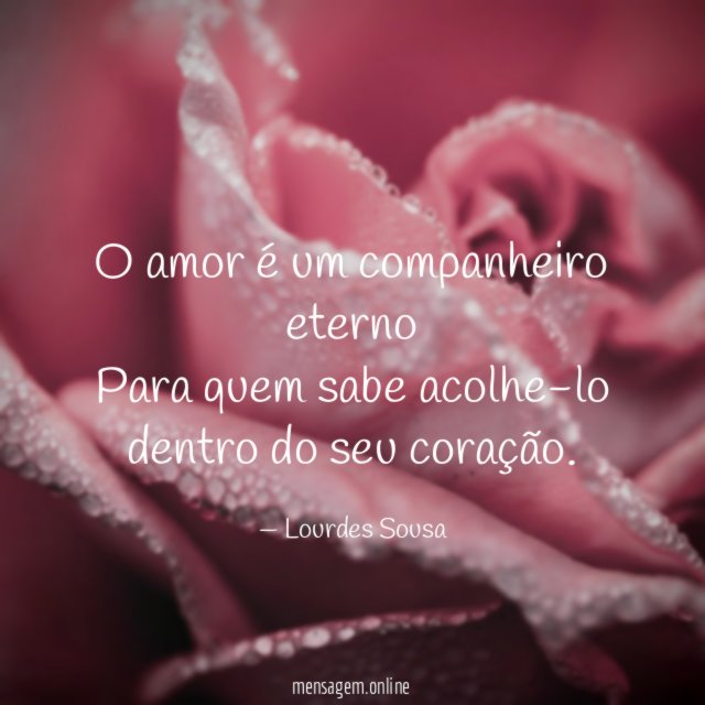 O amor é um companheiro eterno Para quem sabe