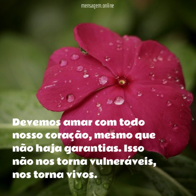 Devemos amar com todo nosso coração