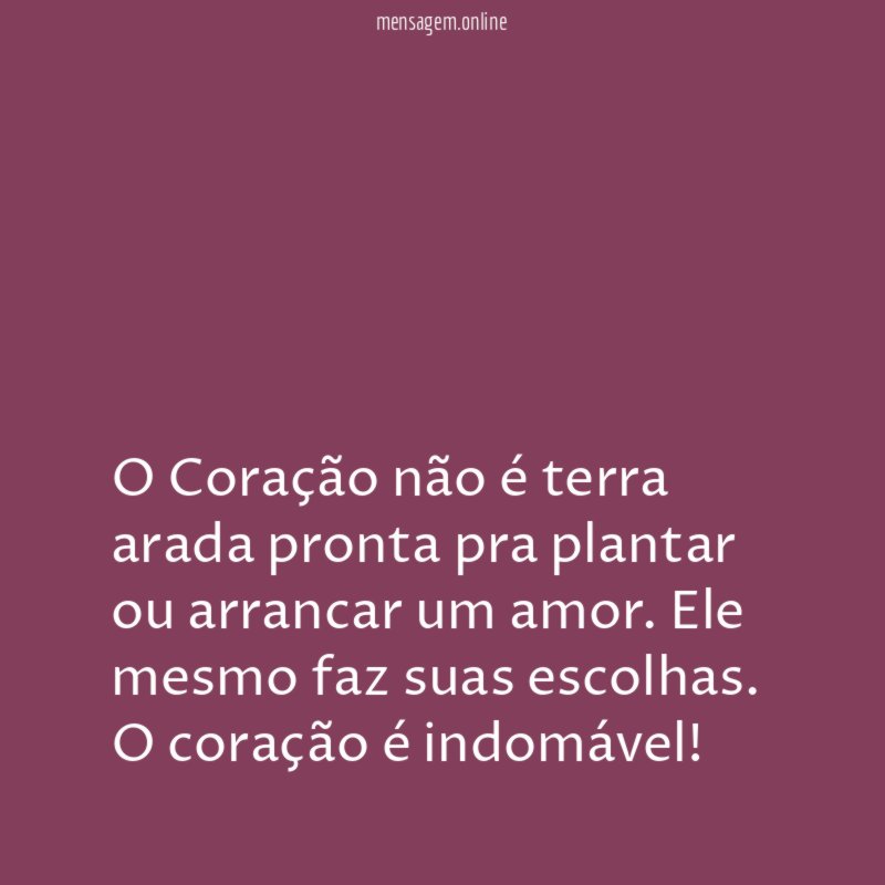 O Coração não é terra arada pronta pra