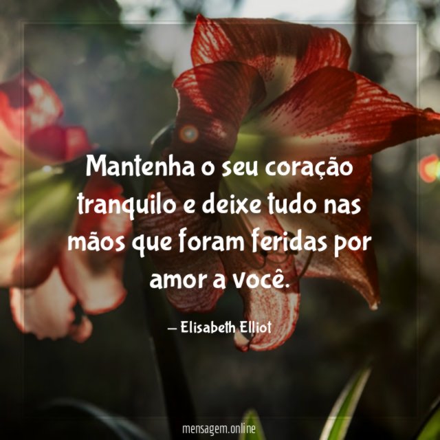Mantenha o seu coração tranquilo e deixe tudo