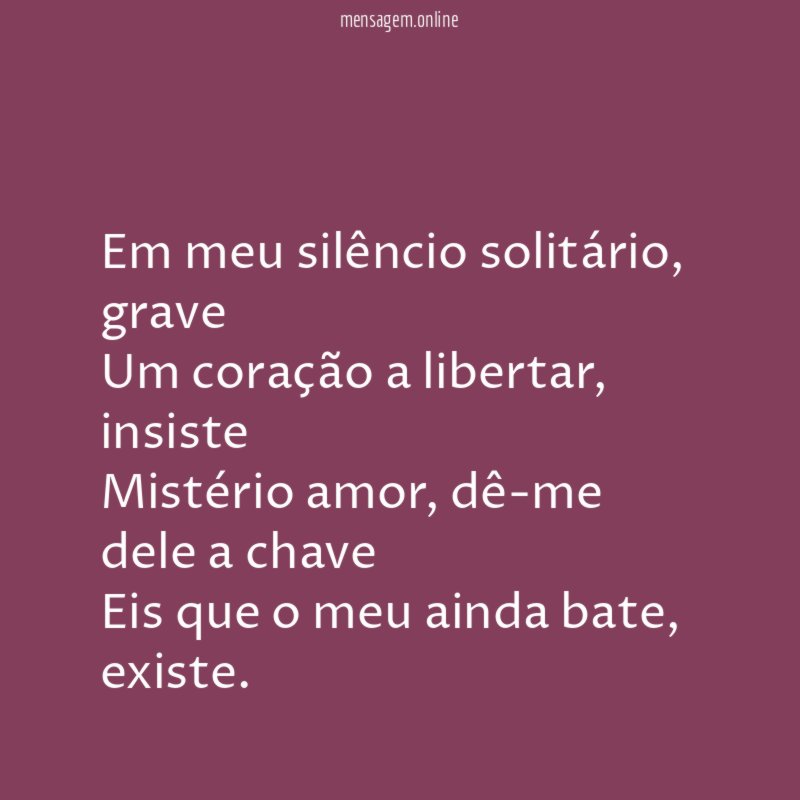 Em meu silêncio solitário