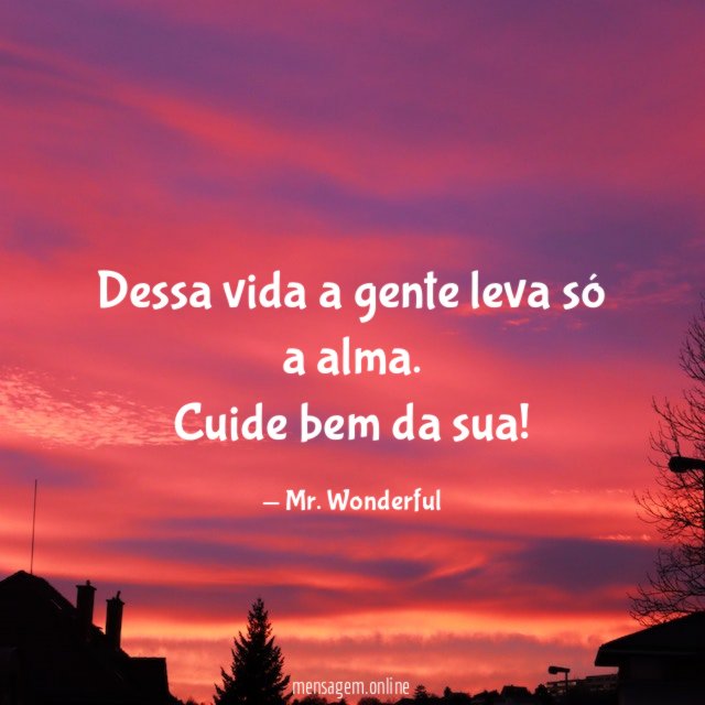 Dessa vida a gente leva só a alma