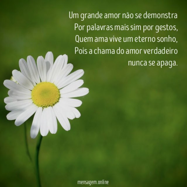 Um grande amor não se demonstra Por palavras mais