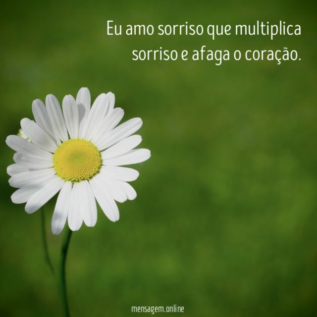 Eu amo sorriso que multiplica sorriso e afaga o coração