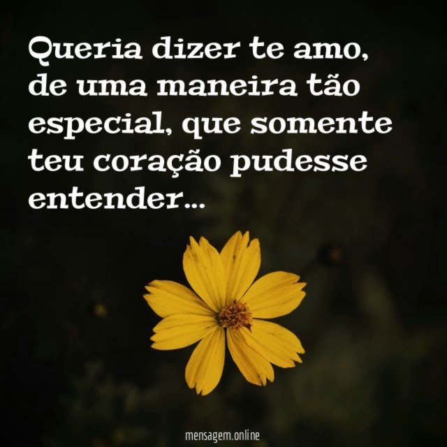 Queria dizer te amo
