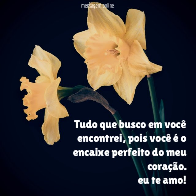 Tudo que busco em você encontrei
