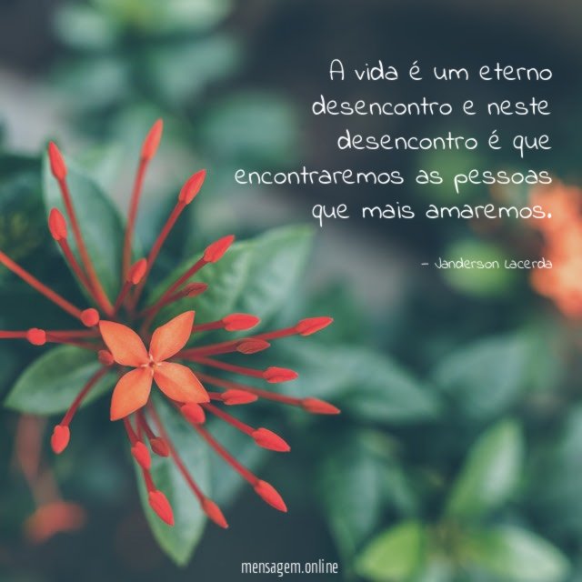 A vida é um eterno desencontro e neste