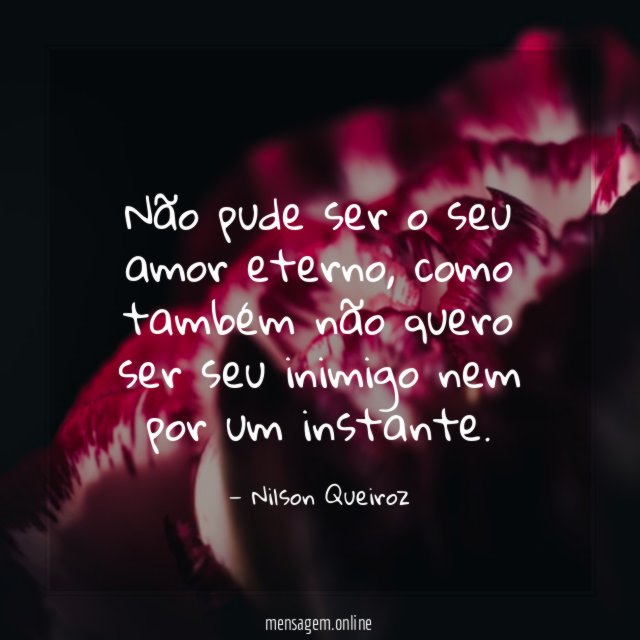 Não pude ser o seu amor eterno