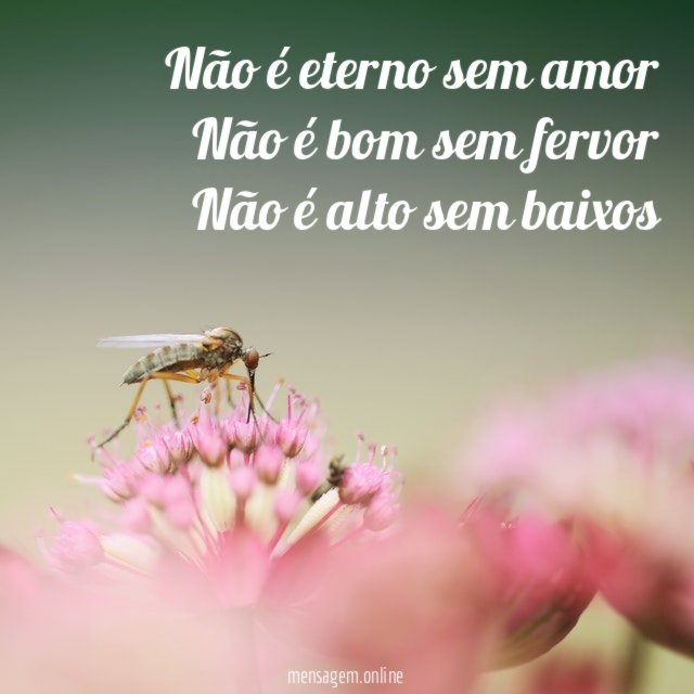 Não é eterno sem amor Não é bom sem