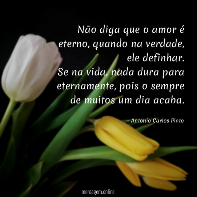 Não diga que o amor é eterno