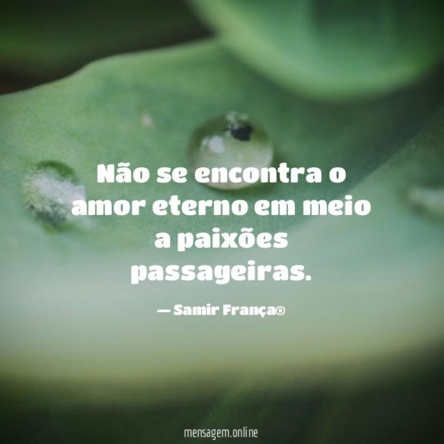 Não se encontra o amor eterno em meio