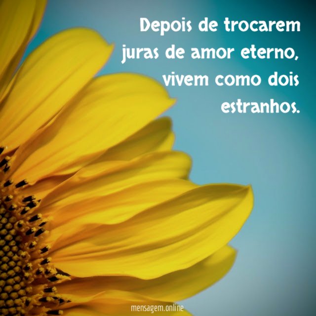 Depois de trocarem juras de amor eterno