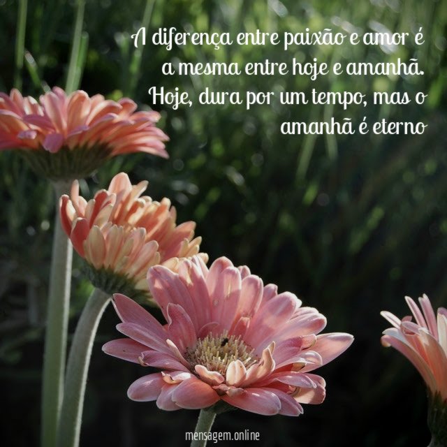 A diferença entre paixão e amor é a