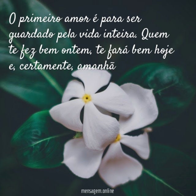 O primeiro amor é para ser guardado pela vida inteira