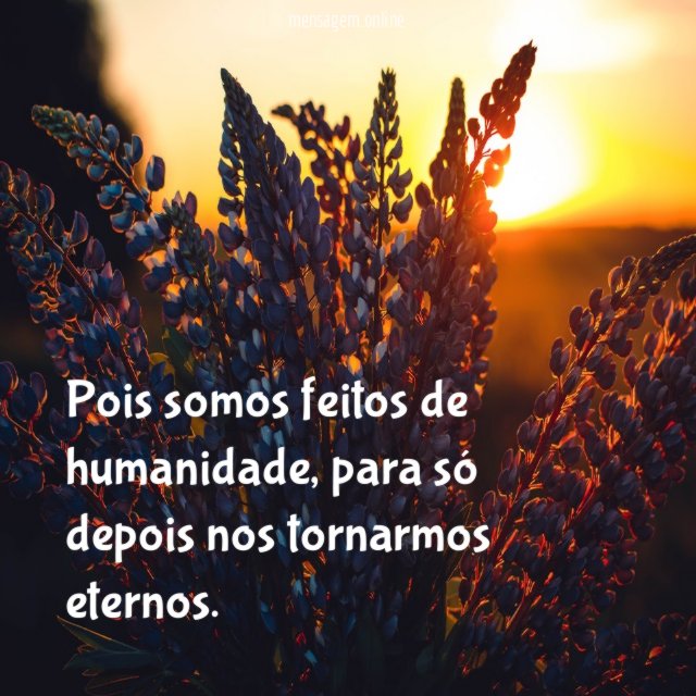 Pois somos feitos de humanidade